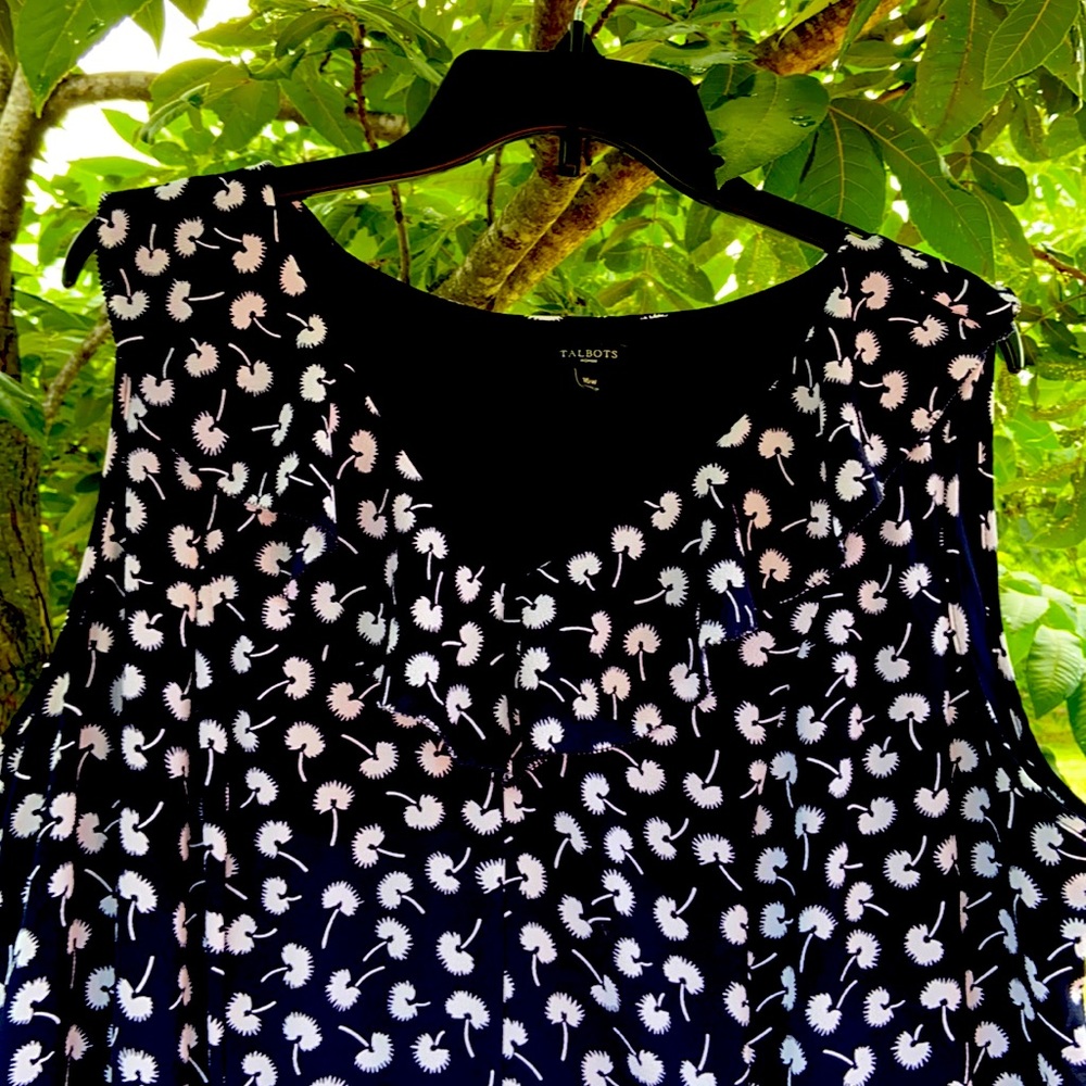 Beautiful, sleeveless, blue & white Talbot dress.